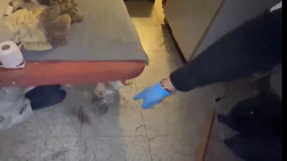 Spanish Police Dismantle Human Trafficking Network in Cadiz and Madrid