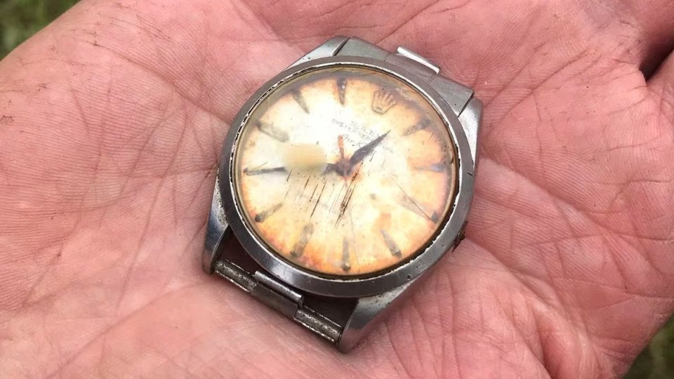 Farmer Finds Watch After 50 Years Thinking Cow Had Eaten It