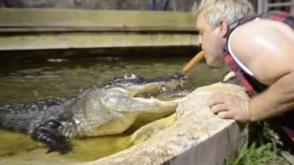 Creepy! Handler Feeds Crocodile Sausages… Mouth to Mouth