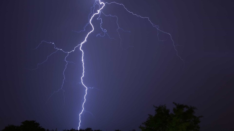 Two People Injured After Lightning Strikes Tree In Connecticut
