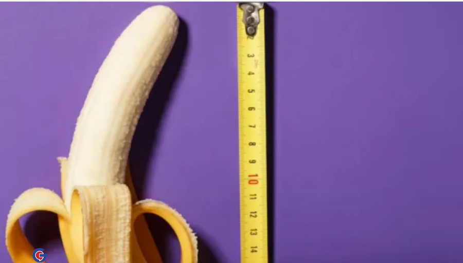 Angola Ranks 19th Among Countries With The Largest Average Penis Size