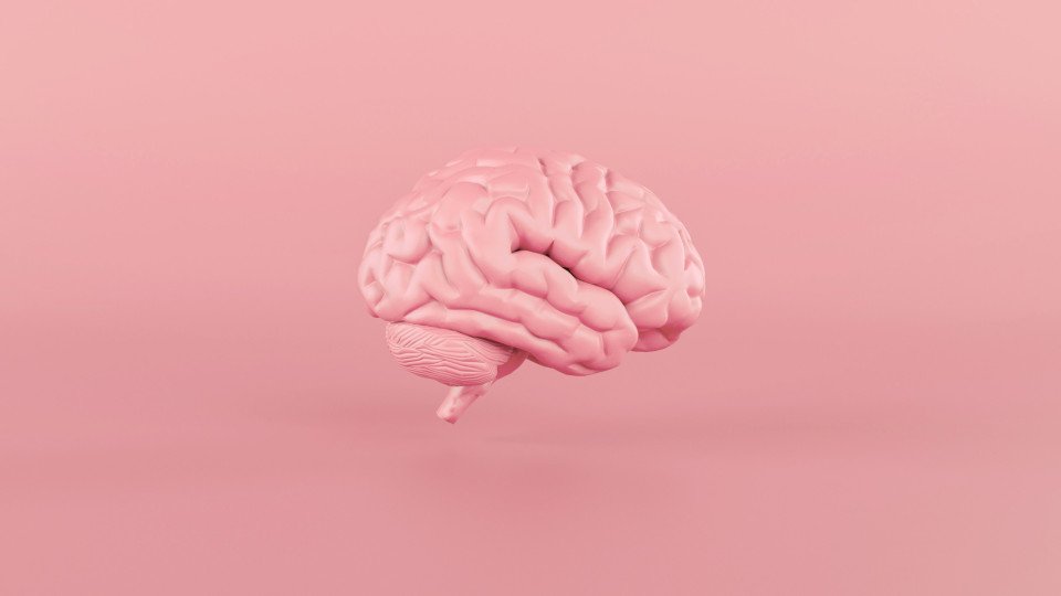 Covid-19 Attacks Brain Similarly to Schizophrenia, Study Says