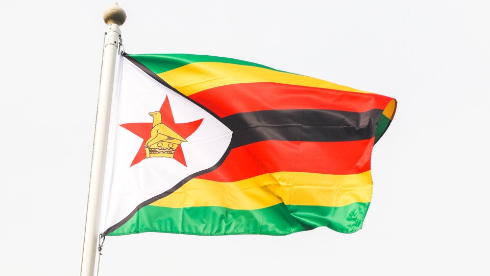 Zimbabwean Government Represses Opposition and Civil Society Organizations