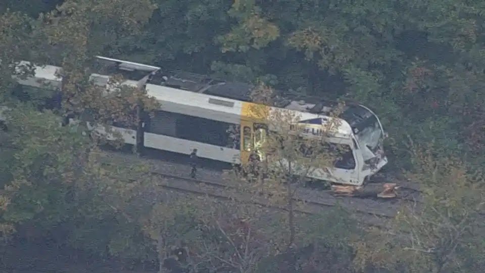 Train Driver Dies After Train Collides With Tree Trunk in US