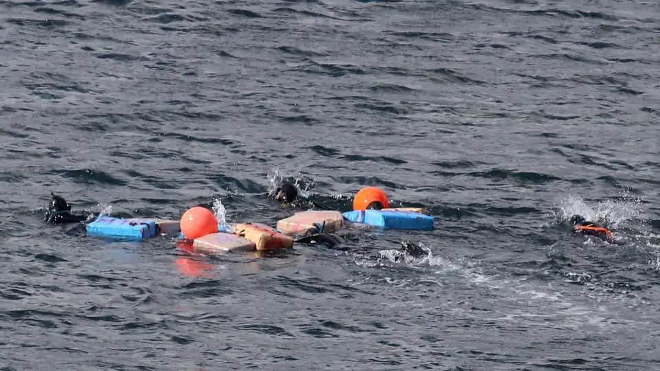 Mexican Navy Announces Seizure of 8.3 Tons of Drugs in the Pacific