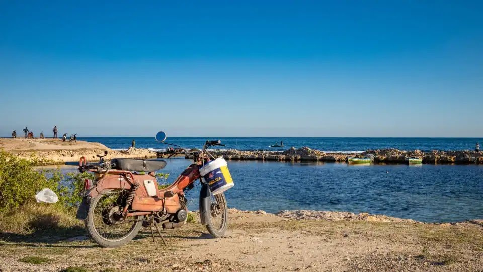 At least 15 Bodies Found Offshore Tunisia