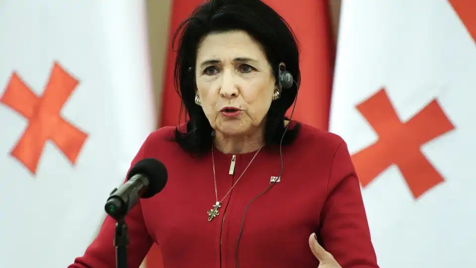 Georgian President Urges West to Support Protests Against Results