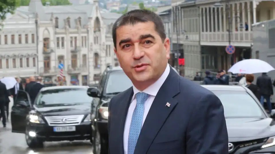 Georgian Parliamentary Speaker Passes Law Banning LGBT Propaganda