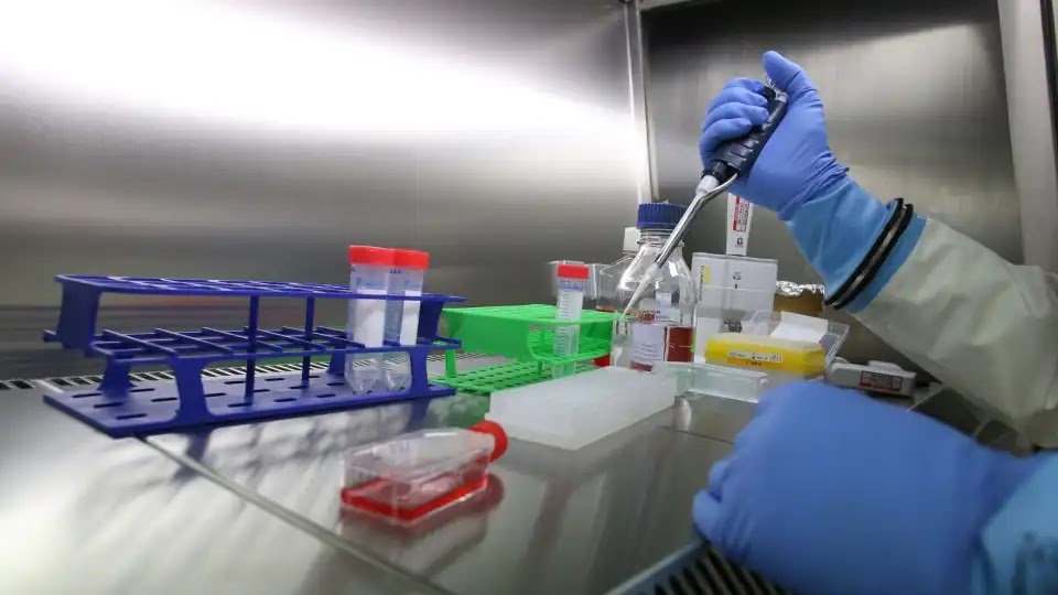 Marburg Virus May Have Reached Germany. Two Patients Under Analysis