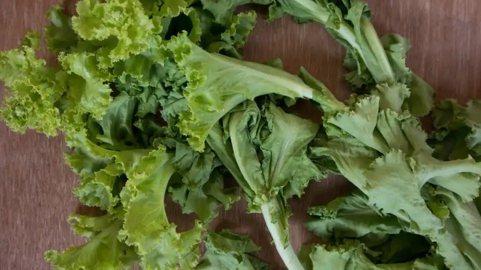 Wilted Lettuce? This Is What You Should Do To 'revive' It