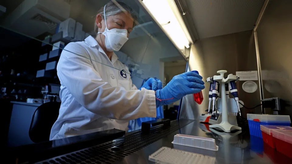 Teenager in Critical Condition for Bird Flu in Canada. 1st Case