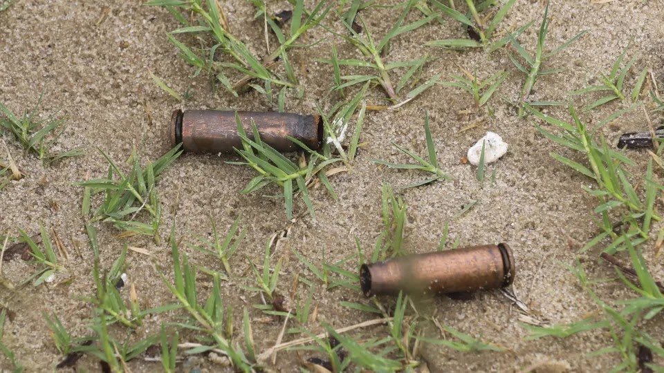 At Least Six Dead, Eight Shot and Nine Arrested in Mozambique