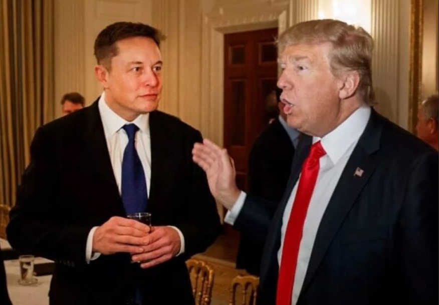 Elon Musk Appointed by Donald Trump as Head of the Department of Government Efficiency