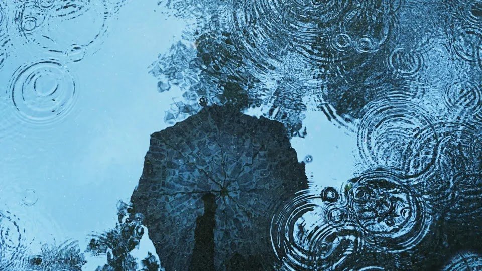 Google Develops AI Model That Outperforms Current Weather Forecasts