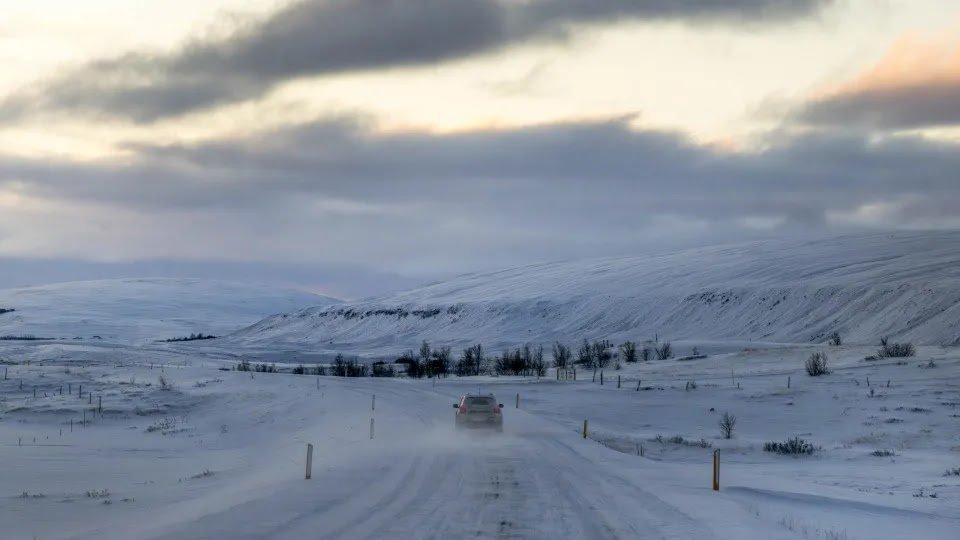 Iceland Authorizes Controversial Whaling for Five More Years