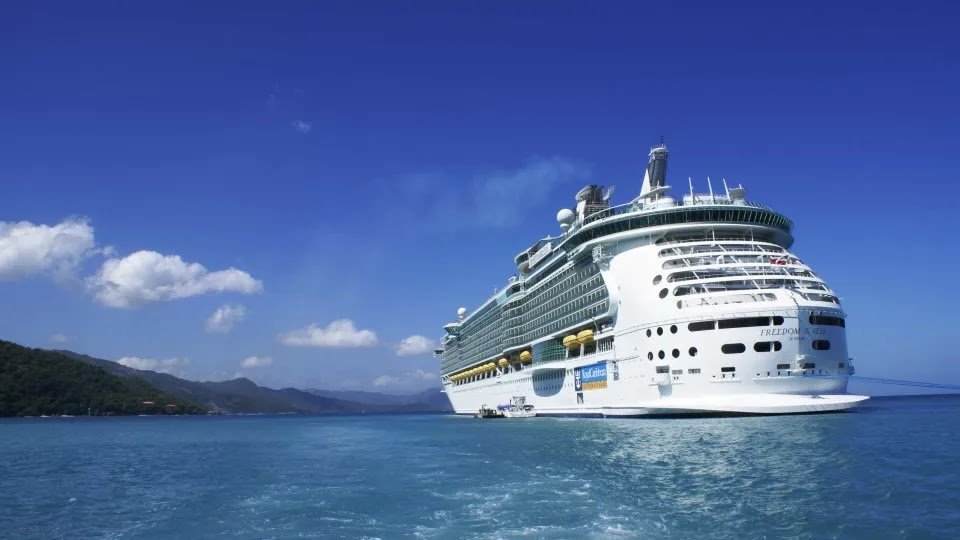 Cruise Passenger Attacks Crew Members and Dies After Being Detained