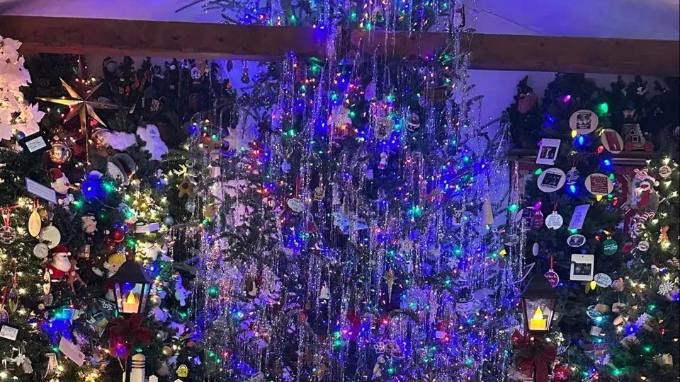 "Spreading Christmas Joy". American Woman Has 727 Trees At Home