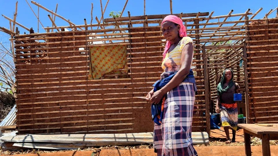 Start-up of Temane Gas Power Plant in Mozambique Postponed