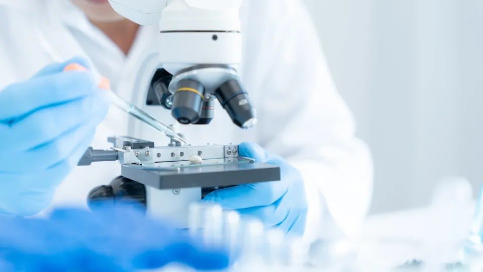 China Overtakes US in Number of Top Scientists