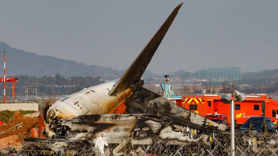 South Korea. Duck Remains Detected In Engines Of Exploded Plane