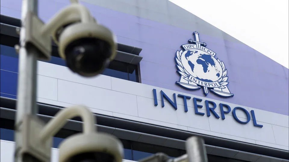 Interpol Arrests Suspected Islamic State Terrorist in Mozambique