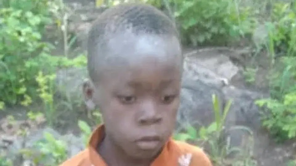 7-Year-Old Boy Who Survived 5 Days in Park With Lions Is 'Stable'