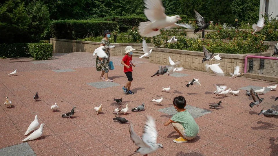 China's Population Declines for Third Year in a Row