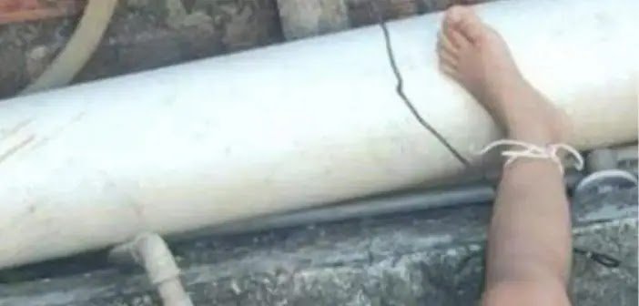 Criança de 4 Anos é Encontrada Amarrada em Quintal e Resgatada pelas Autoridades