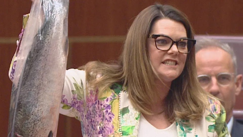MP Takes “Rotten And Stinky” Salmon To Australian Parliament