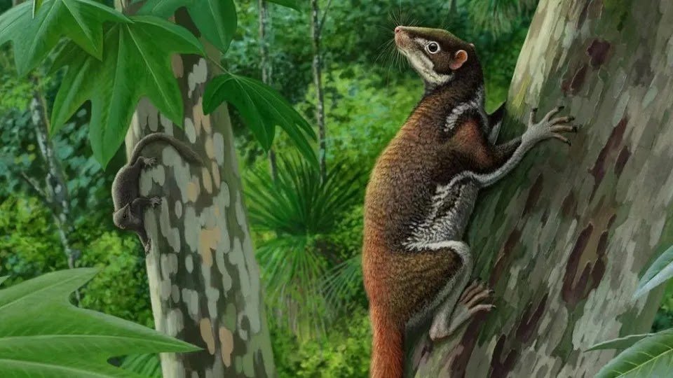 62-Million-Year-Old Fossil Allows Recreating an Enigmatic Animal