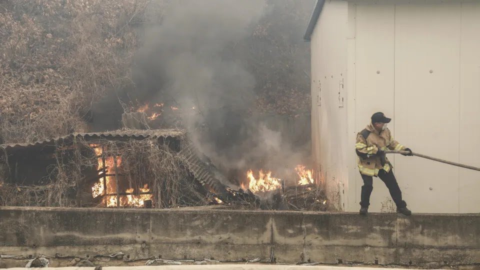 South Korea’s Wildfires Have Killed At Least 24 People