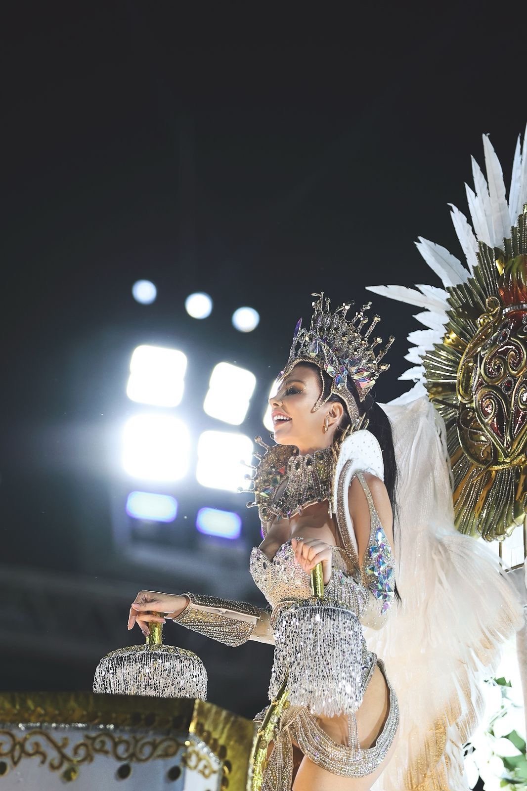 Priscila Vaz Comemora Título Da Beija-Flor E Antecipa Novidades Do Carnaval 2026