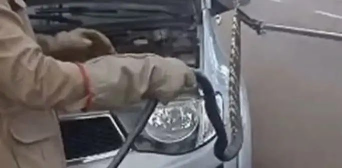 Cobra De 2 Metros Viaja 70 Km Dentro De Motor De Carro E É Resgatada Em Goiás