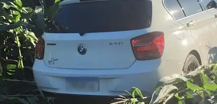 Agricultor Encontra BMW Furtada Escondida em Meio a Milharal