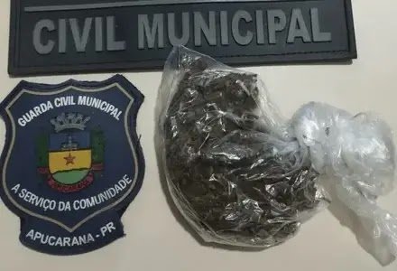 Criança De 9 Anos É Encontrada Com Maconha Em Apucarana