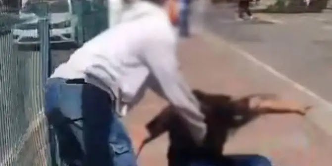 Mãe Incita Filho a Agredir Adolescente, Filma o Ataque e Acaba Presa: Caso Revolta o País