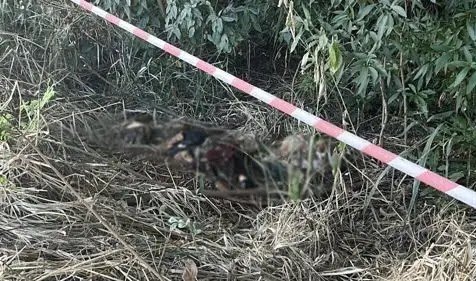 Ossada Humana é Encontrada em Mata na Zona Sul de Londrina: Polícia Investiga Caso Misterioso