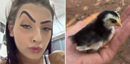 Pintinho Nasce com Mancha que Lembra Sobrancelha e Ganha Nome de MC Mirella: Internet Vai à Loucura