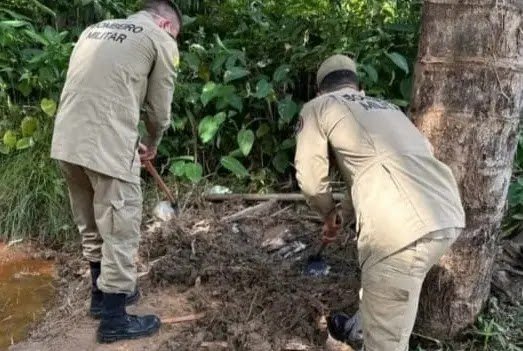 Horror: Jovens São Encontrados Mortos com os Corações Arrancados