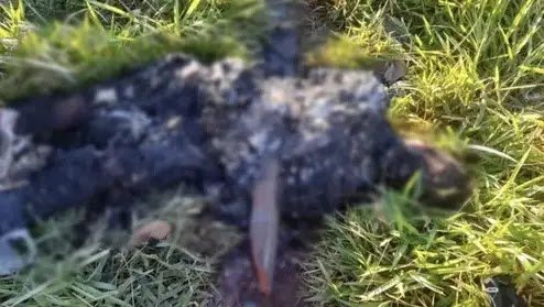 Corpo Carbonizado com Estaca no Abdômen é Encontrado em Ponta Porã: Polícia Investiga Crime Brutal