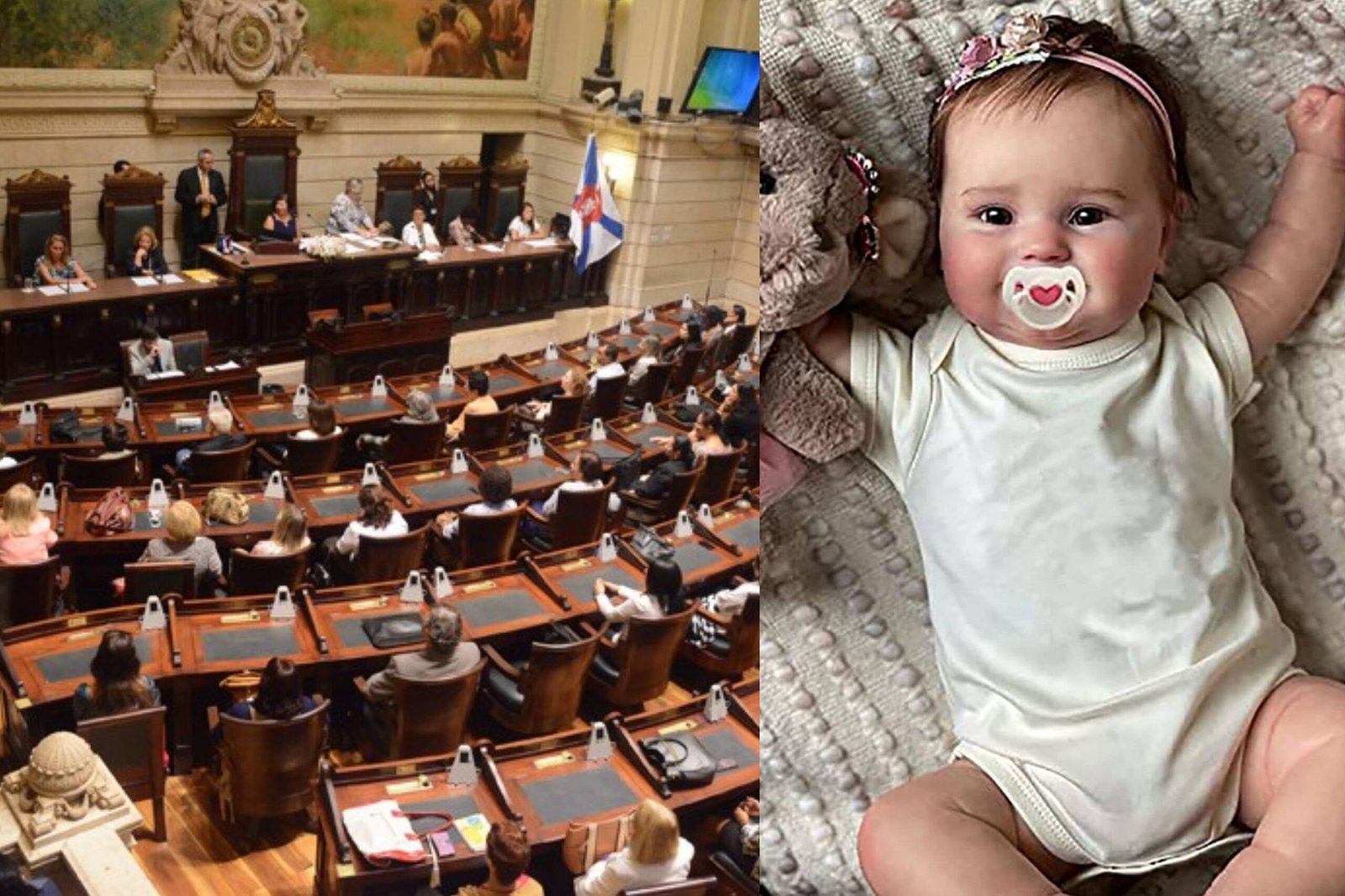 Câmara do Rio de Janeiro Aprova o “Dia da Cegonha Reborn” em Homenagem às Artesãs de Bebês Ultrarrealistas