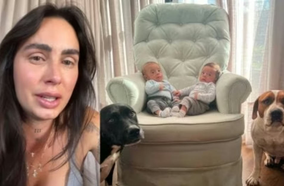 Influenciadora Grávida Retira Pitbulls De Casa Após Comportamentos Perigosos