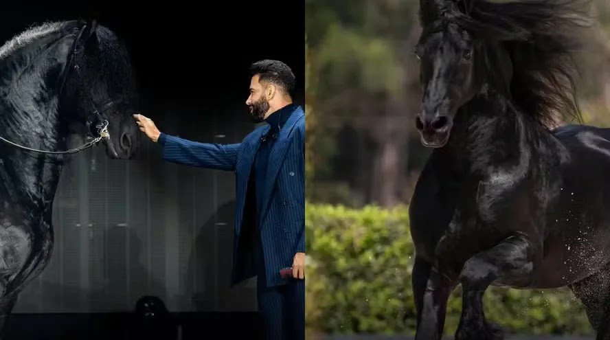 Gusttavo Lima Leiloa 50% de Cavalo por R$ 5 Milhões em Evento de Luxo