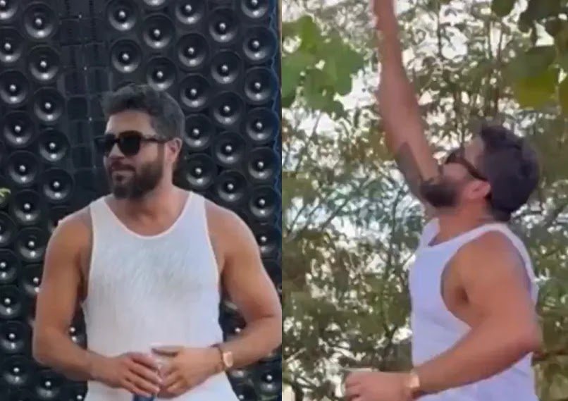 Henrique, Da Dupla Com Juliano, Derruba Ninho De Maribondos E Causa Alvoroço No Tocantins