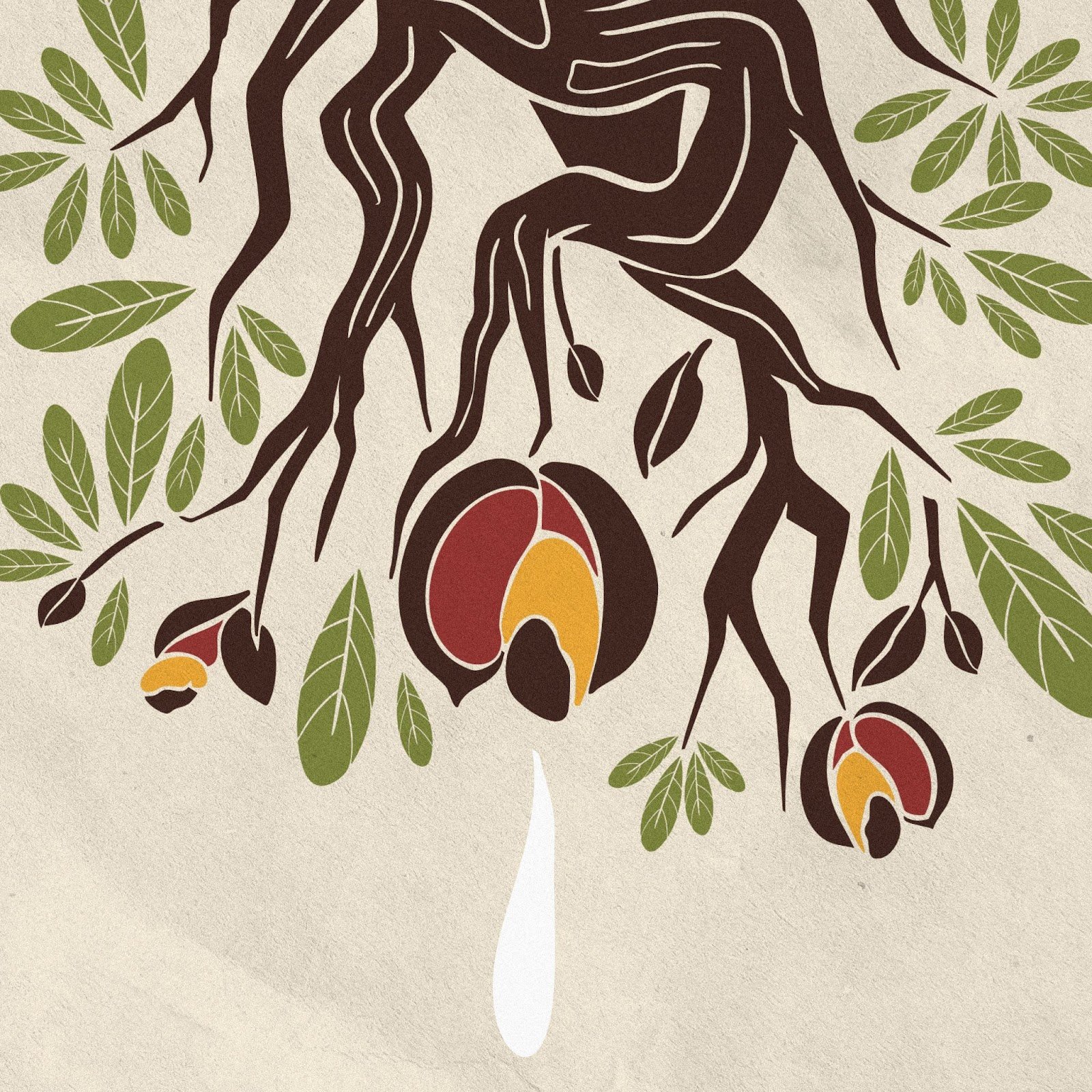 Marina Sena e Alexandre Carlos Lançam “O Cerrado Ameaçado” Com Letra Impactante