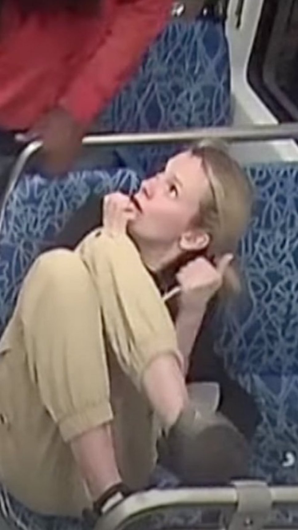 The Tragic Murder of Iryna Zarutska