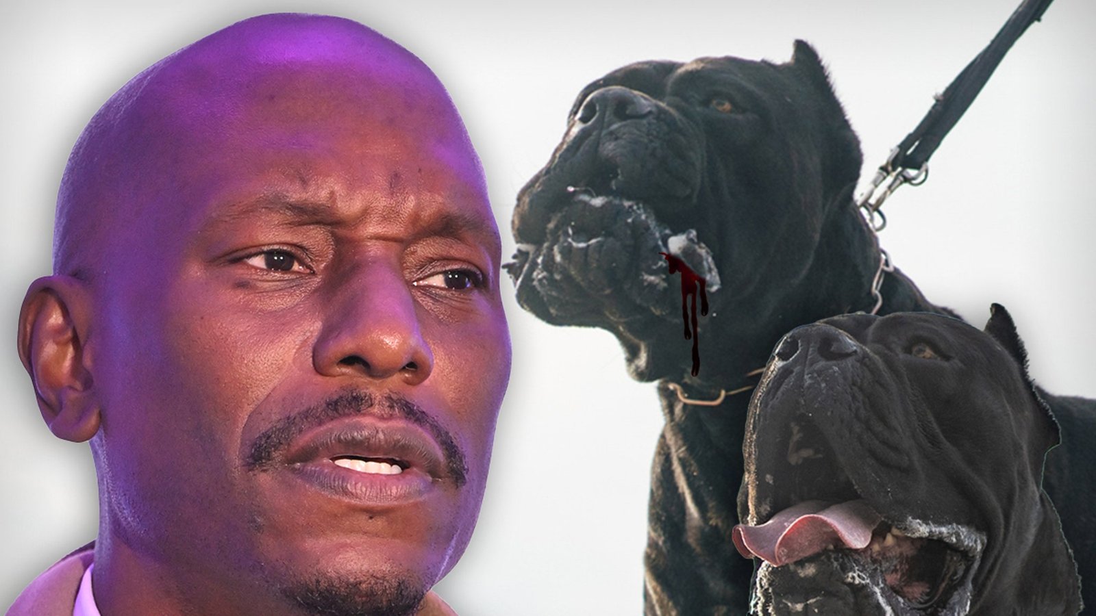 Tyrese’s Dogs Maul Neighbor’s Pet: Arrest Warrant Drops