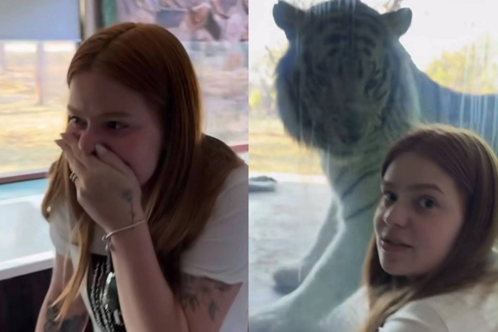 Viih Tube Surpreendida com Safári na África do Sul: Emoção Extrema ao Lado de Eliezer!