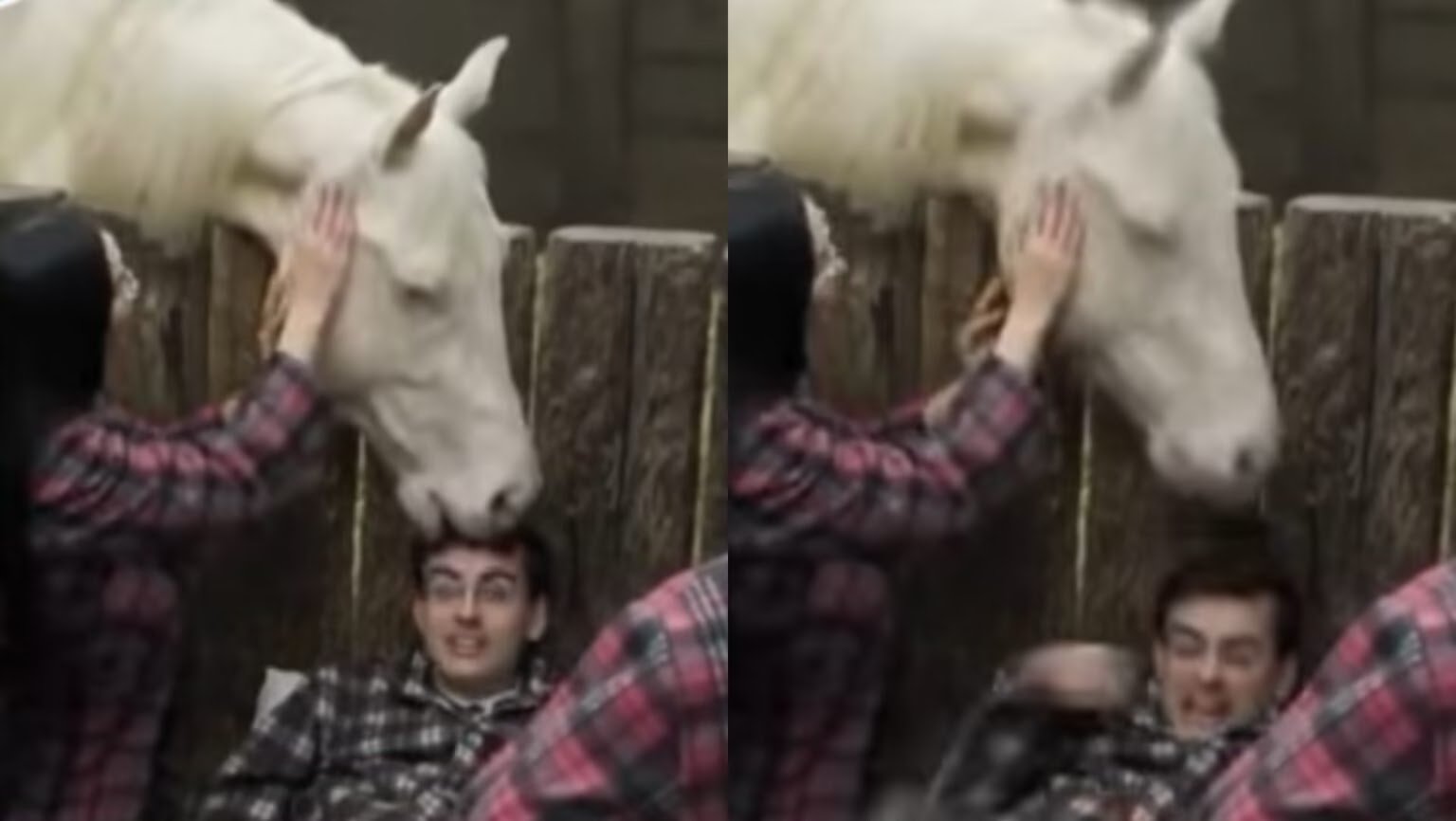 Momento Inusitado: Cavalo Morde Cabeça de Dudu Camargo em ‘A Fazenda’