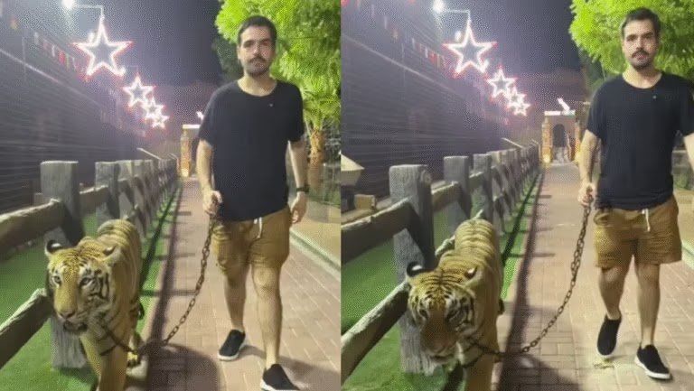 João Silva, Filho de Faustão, Choca Fãs ao Passear Com Tigre na Coleira – Vídeo Viral